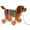 Nico Il Cagnolino Trainabile - Djeco