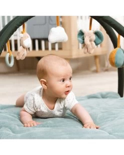 Nattou - Tappeto Attività -Negozio Di Prodotti Per Bambini 5be83a3f xz 000000000000694633 02