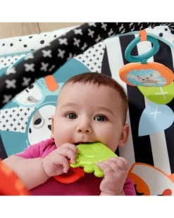 Fisher Price - Palestrina Luci E Suoni Degli Amici Animali 3-in-1 -Negozio Di Prodotti Per Bambini 9b895f92 xz 000000000000698300 02