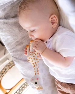 Cofanetto Creazione Tenerezza N. 1 Sophie La Girafe - Vulli -Negozio Di Prodotti Per Bambini b399433d xz 1341843 3